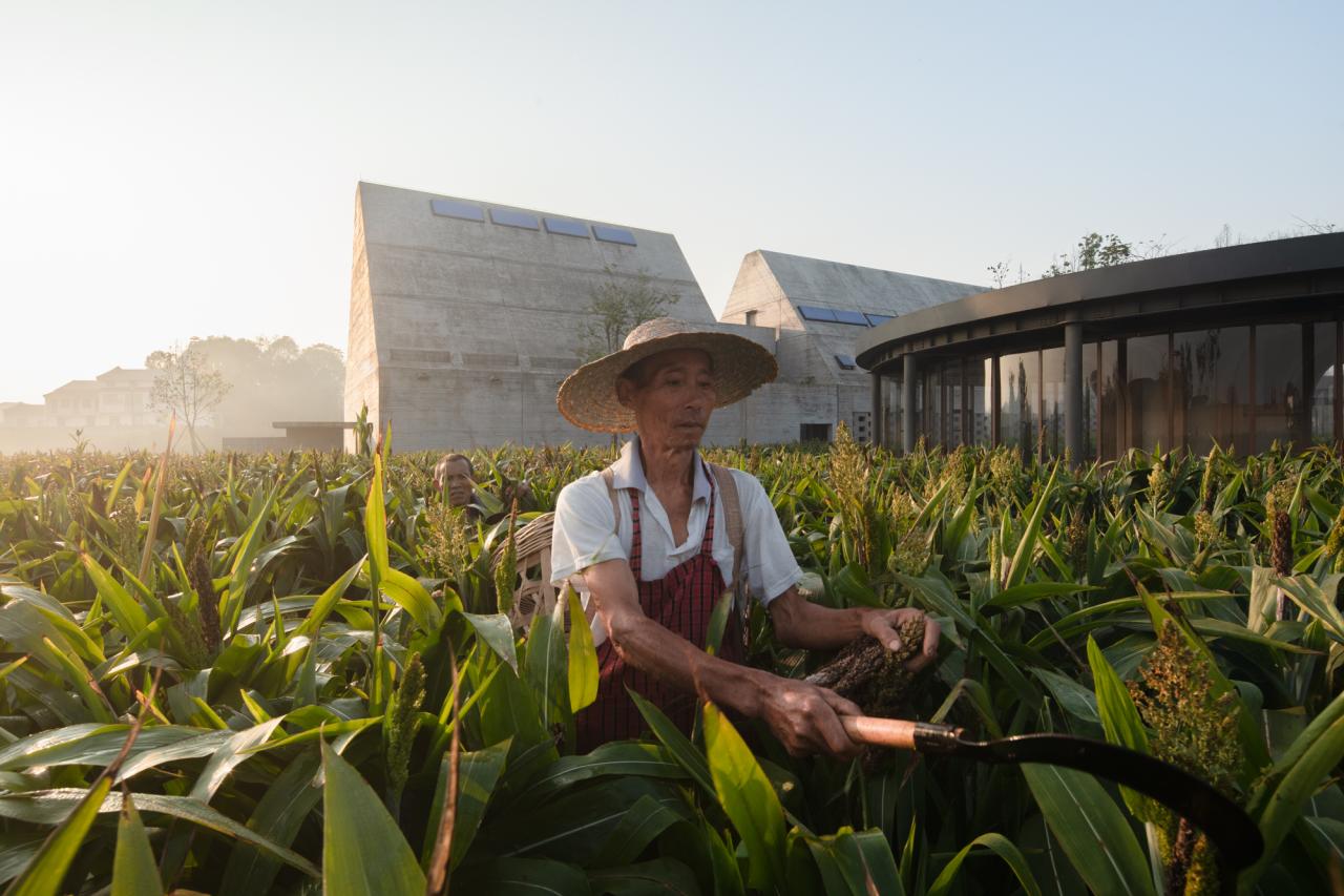 BIM建筑|释放天性的乡村俱乐部 ：江小白的一亩三分地 JOYBO FARM / 未见筑设计事务所