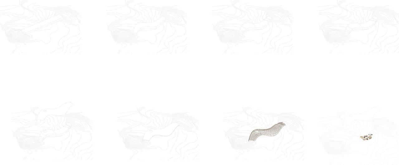 BIM建筑|新余树蛙自然体验中心 / 度向建筑