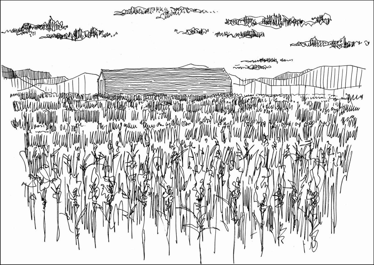 BIM建筑|释放天性的乡村俱乐部 ：江小白的一亩三分地 JOYBO FARM / 未见筑设计事务所