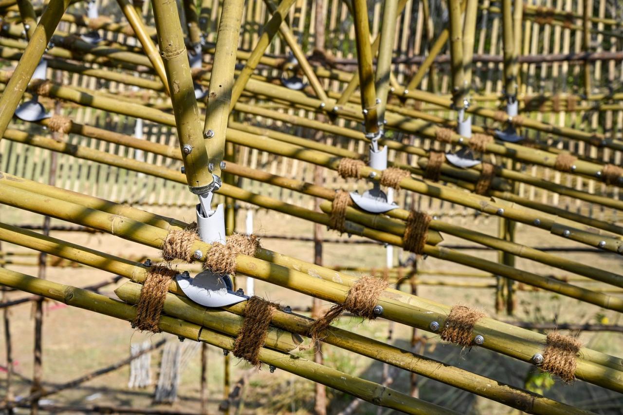 BIM建筑|工匠竹系统 Yogashala / Thumbimpressions