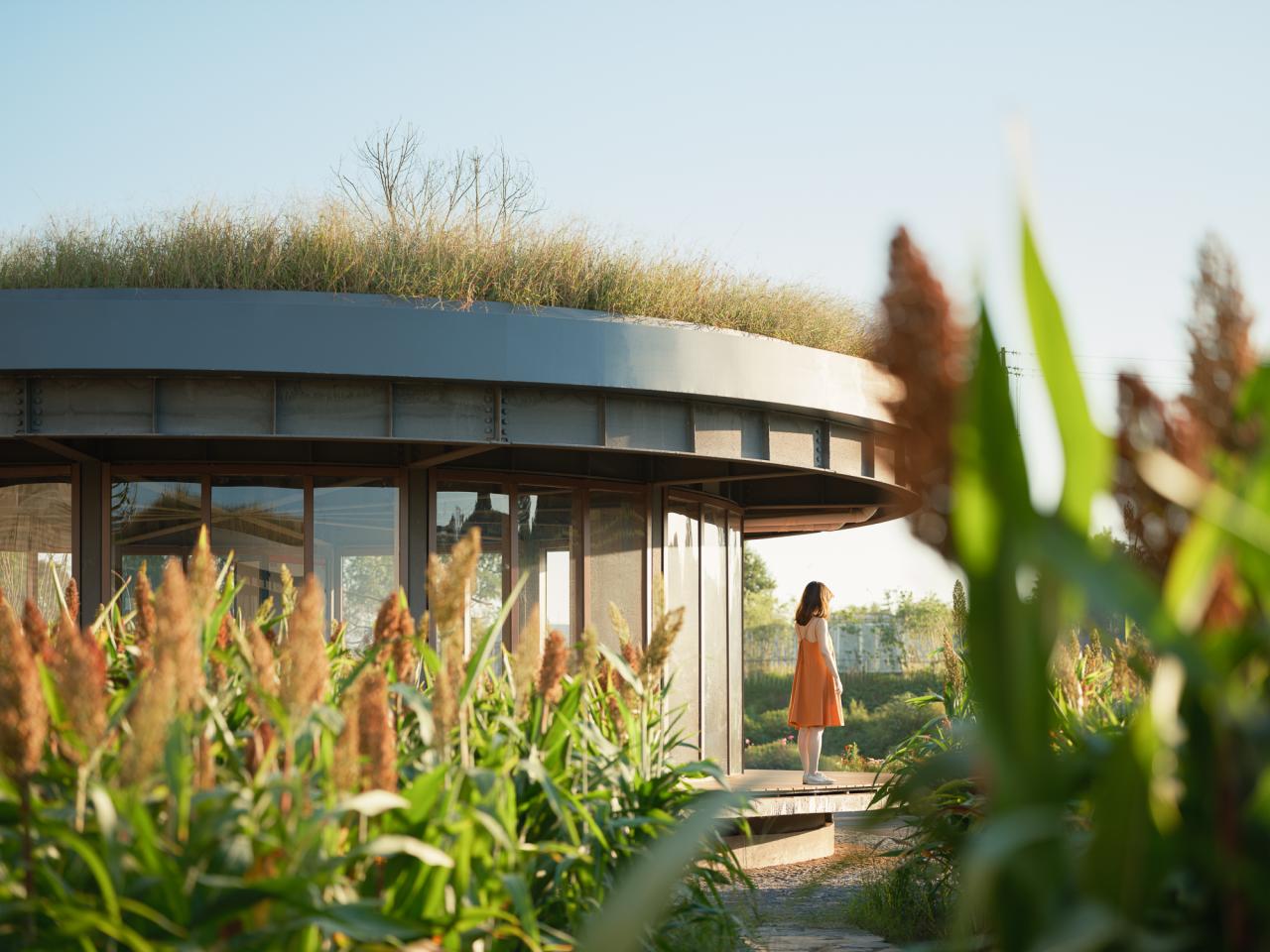 BIM建筑|释放天性的乡村俱乐部 ：江小白的一亩三分地 JOYBO FARM / 未见筑设计事务所