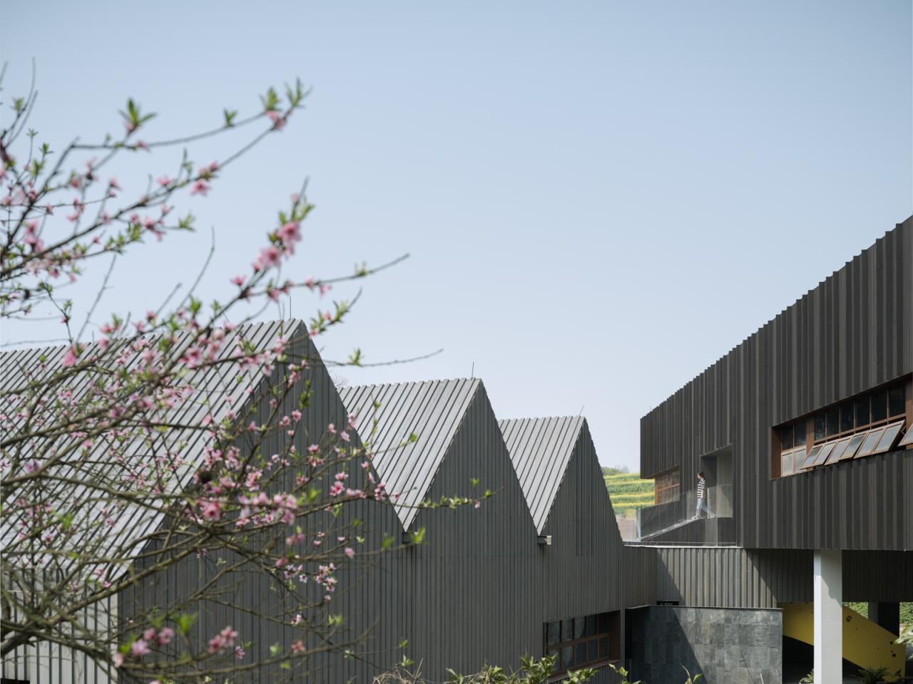 BIM建筑|释放天性的乡村俱乐部 ：江小白的一亩三分地 JOYBO FARM / 未见筑设计事务所