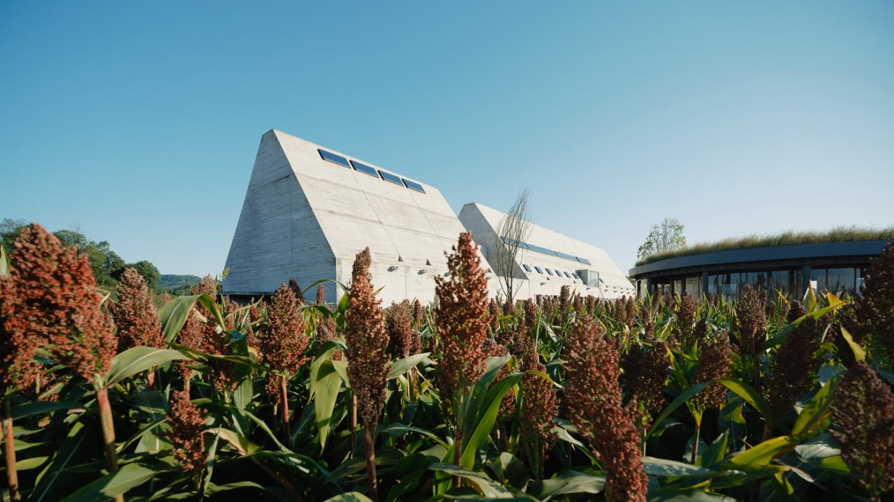 BIM建筑|释放天性的乡村俱乐部 ：江小白的一亩三分地 JOYBO FARM / 未见筑设计事务所