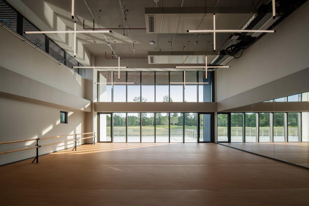 BIM建筑|乐活集盒：南京雅达 · 子罗城 / line+建筑事务所、gad