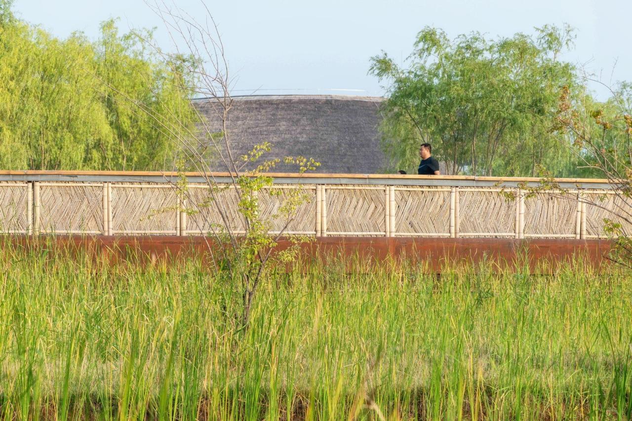BIM建筑|雄安白洋淀水岸公园 / TLS景观设计事务所