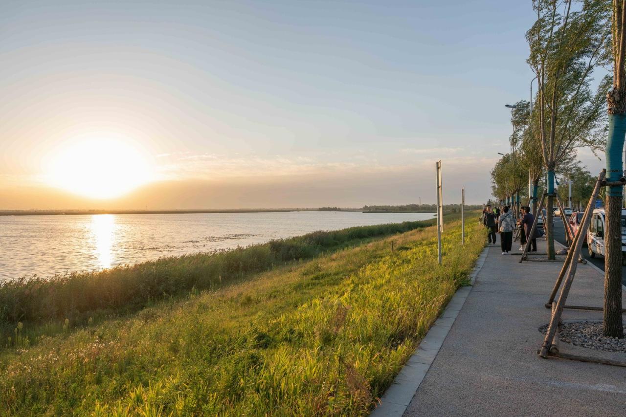 BIM建筑|雄安白洋淀水岸公园 / TLS景观设计事务所