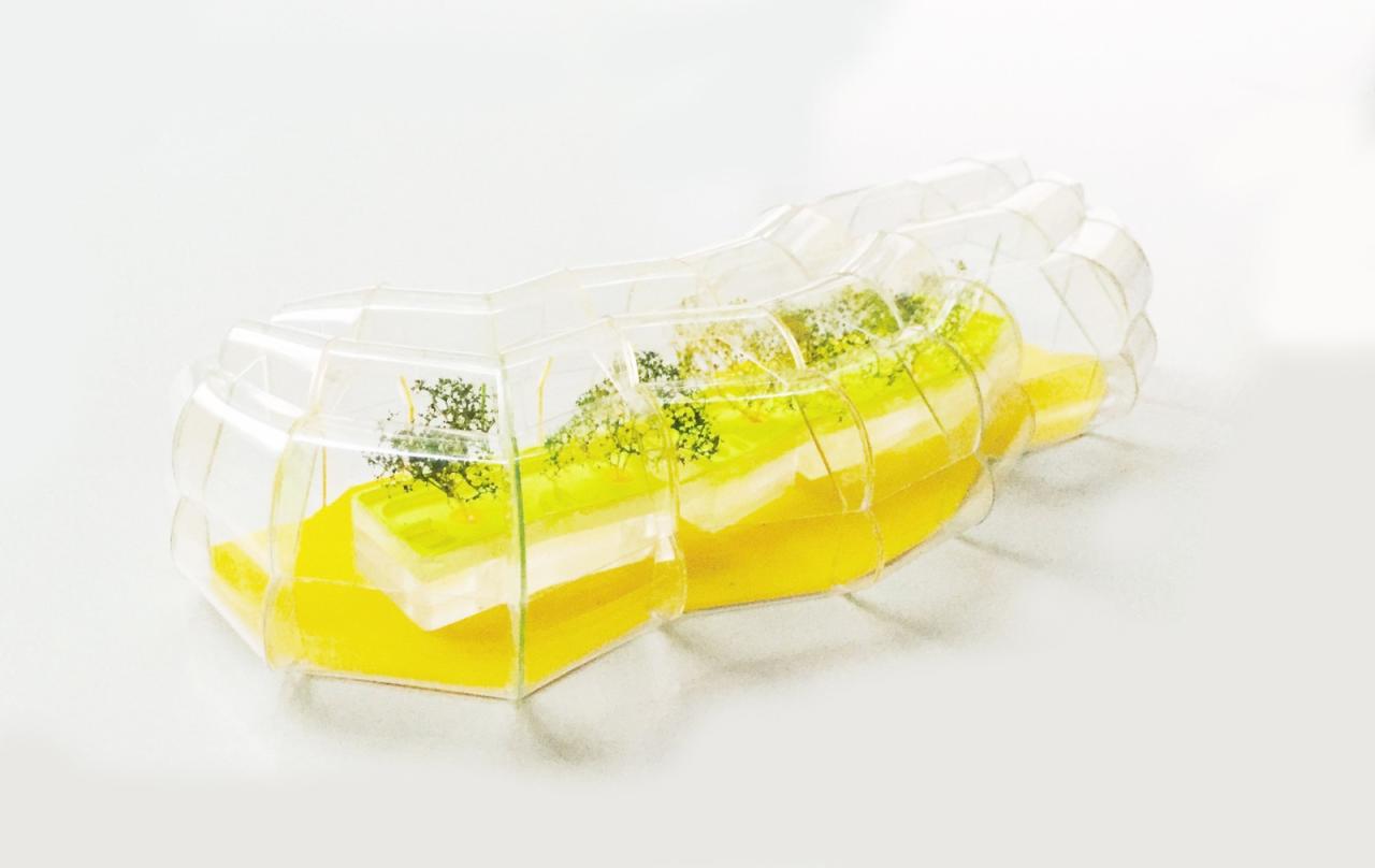 BIM建筑|设计街区食堂 / Selgascano