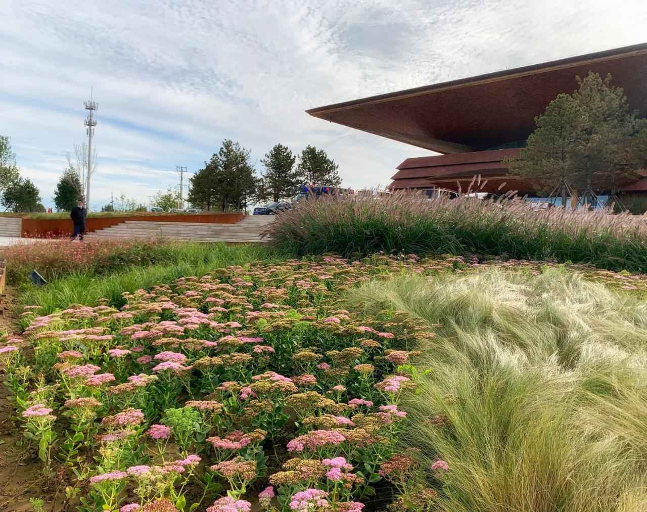 BIM建筑|雄安白洋淀水岸公园 / TLS景观设计事务所