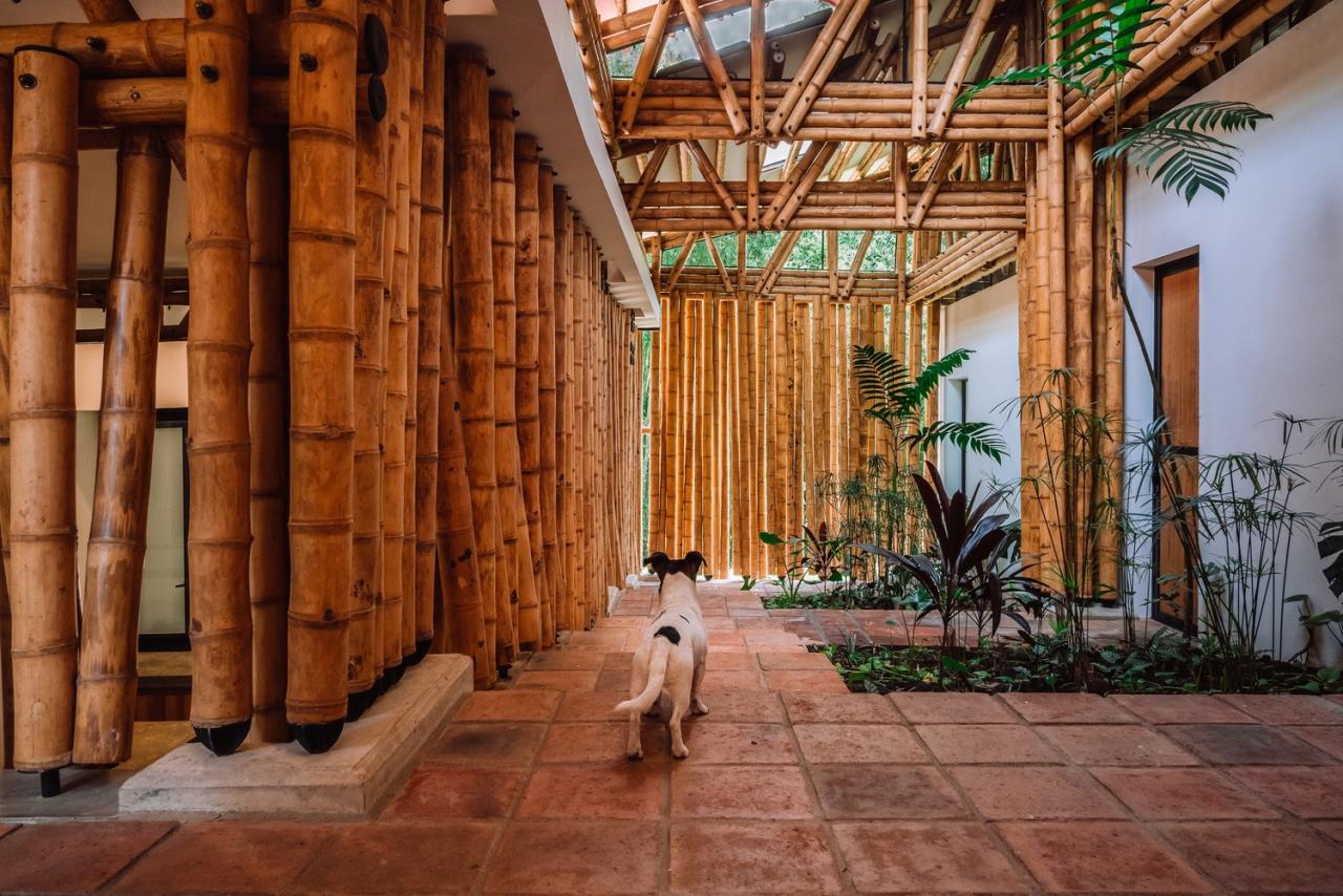 BIM建筑|竹林‘环绕’，Milguaduas 住宅 / ritmo arquitectos