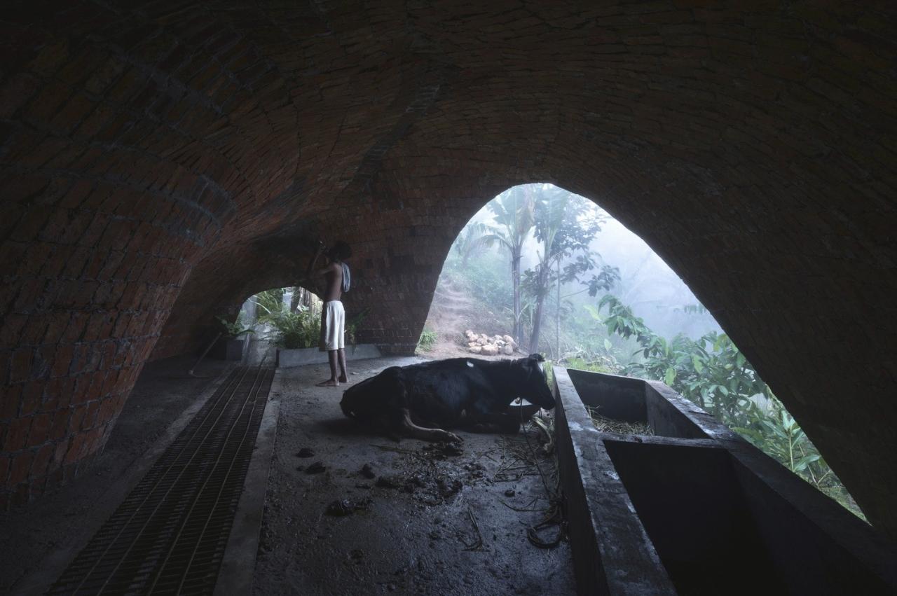 BIM建筑|薄壳拱顶结构牛棚 / Rnd Earth