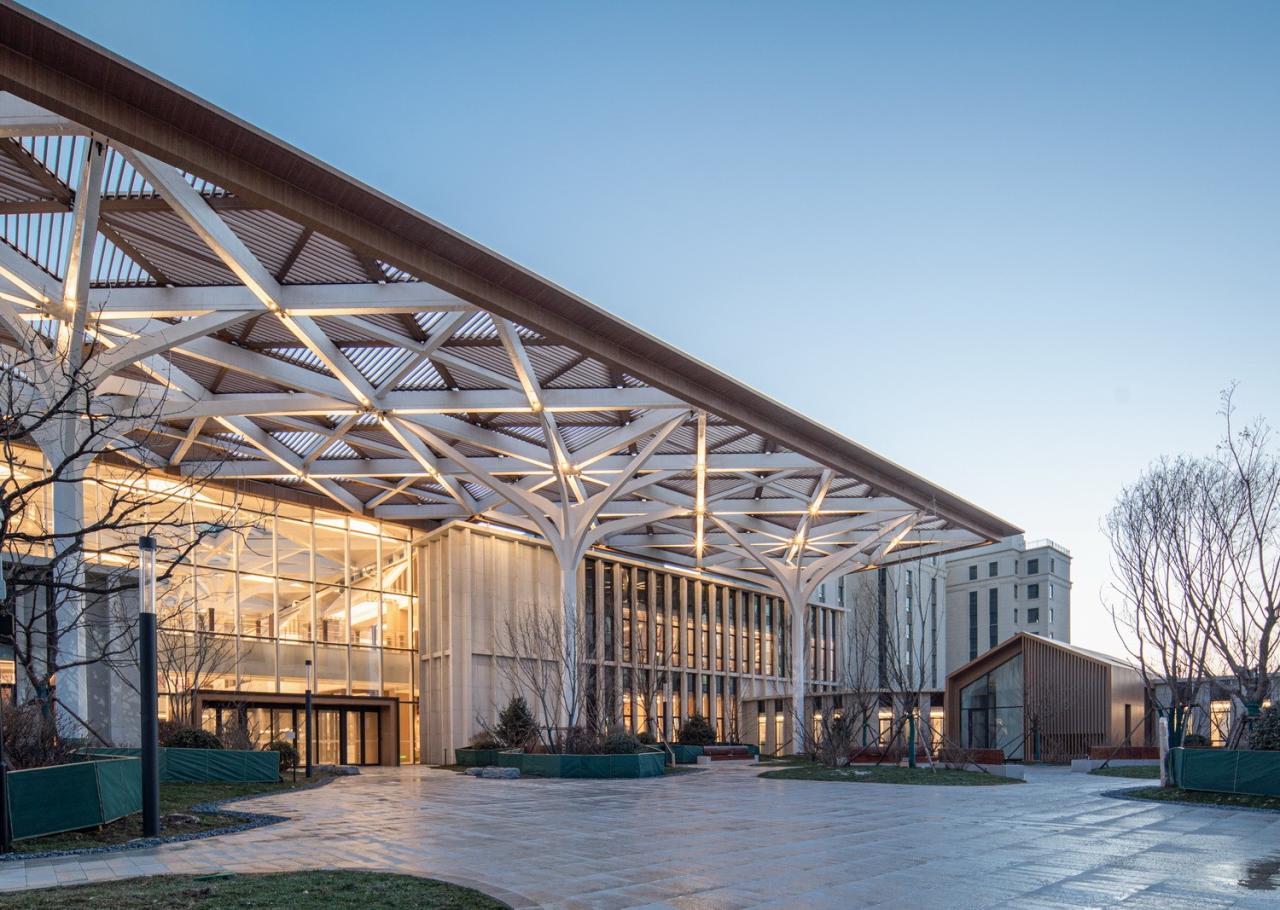 BIM建筑|泰康之家·沈园：东北城市型医养社区设计实践 / 栖城设计