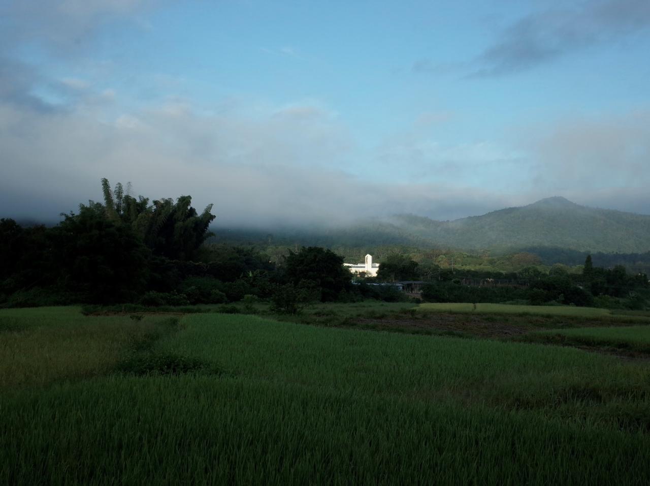 BIM建筑|佳禾园自然教育营地 / 城外建筑
