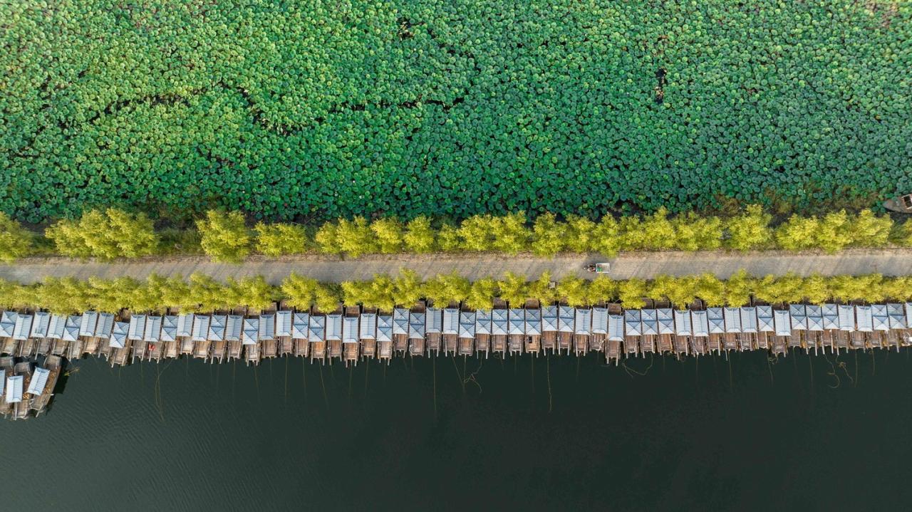 BIM建筑|雄安白洋淀水岸公园 / TLS景观设计事务所