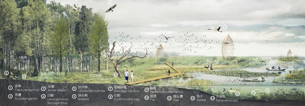 BIM建筑|雄安白洋淀水岸公园 / TLS景观设计事务所