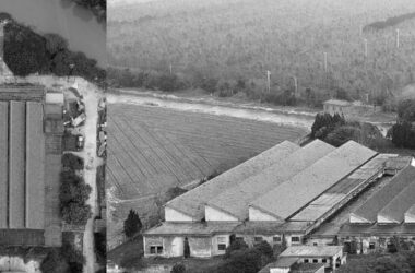 BIM建筑|光明东滩源（原前哨织布厂改造）—客房区 / 同济原作设计工作室-BIM建筑网