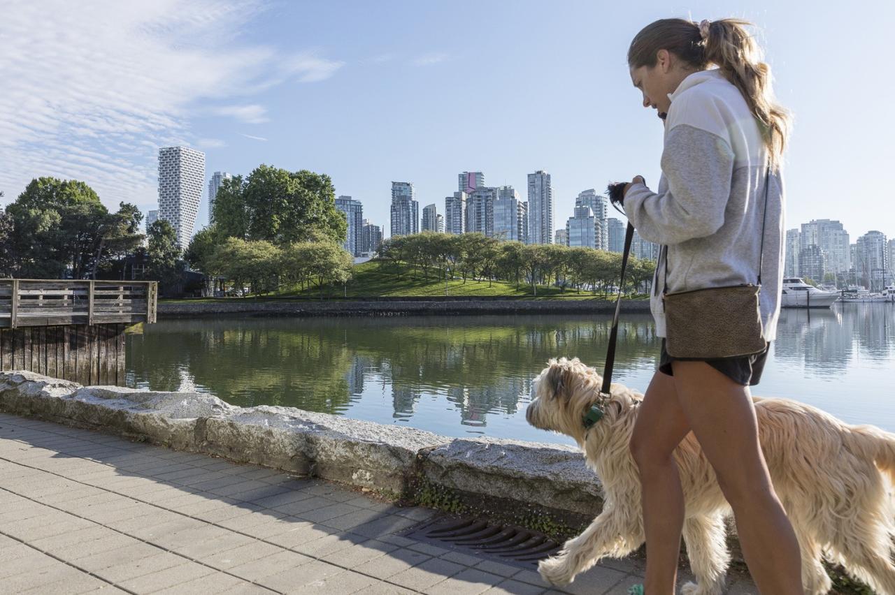 BIM建筑|BIG 两个新作：温哥华之家和泰勒斯大楼，重力和失重摩天楼