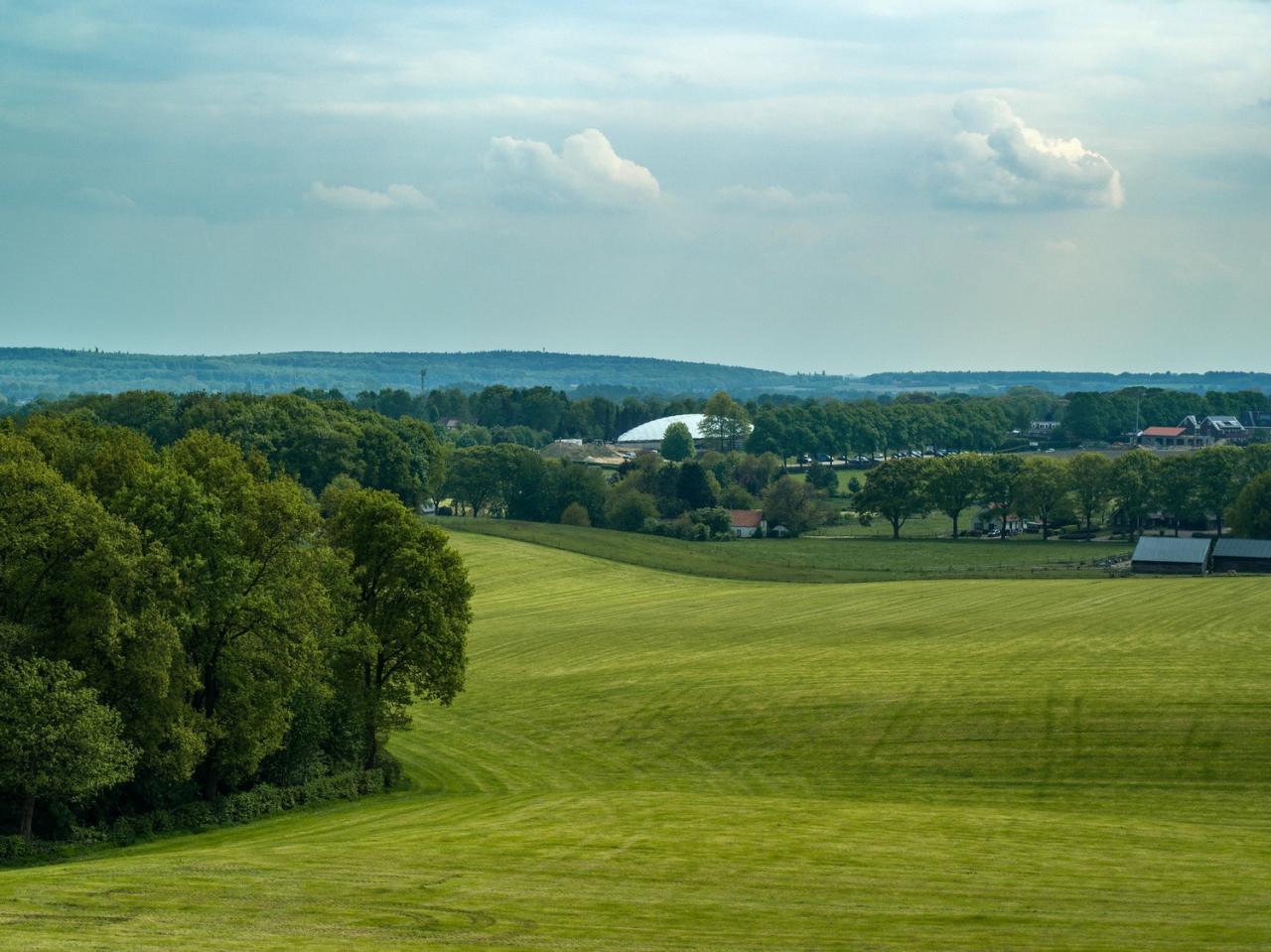 BIM建筑|自由博物馆 / ZJA 建筑工作室
