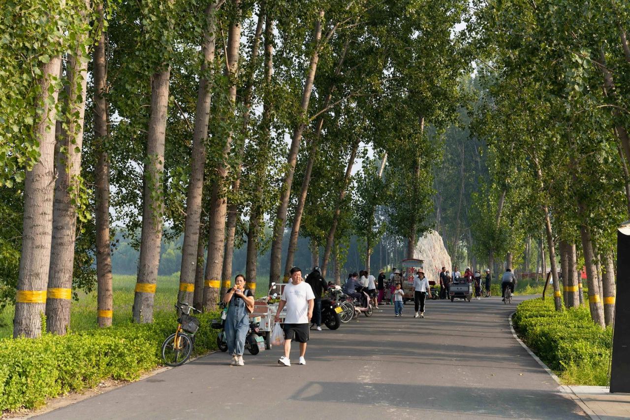 BIM建筑|雄安白洋淀水岸公园 / TLS景观设计事务所