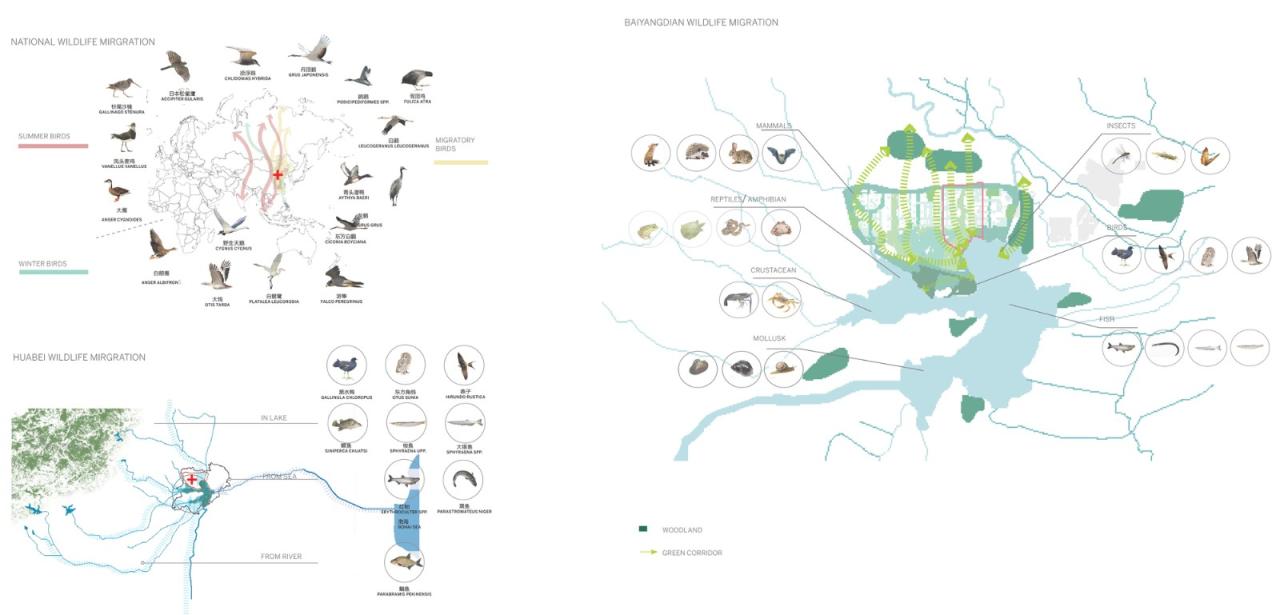 BIM建筑|雄安白洋淀水岸公园 / TLS景观设计事务所