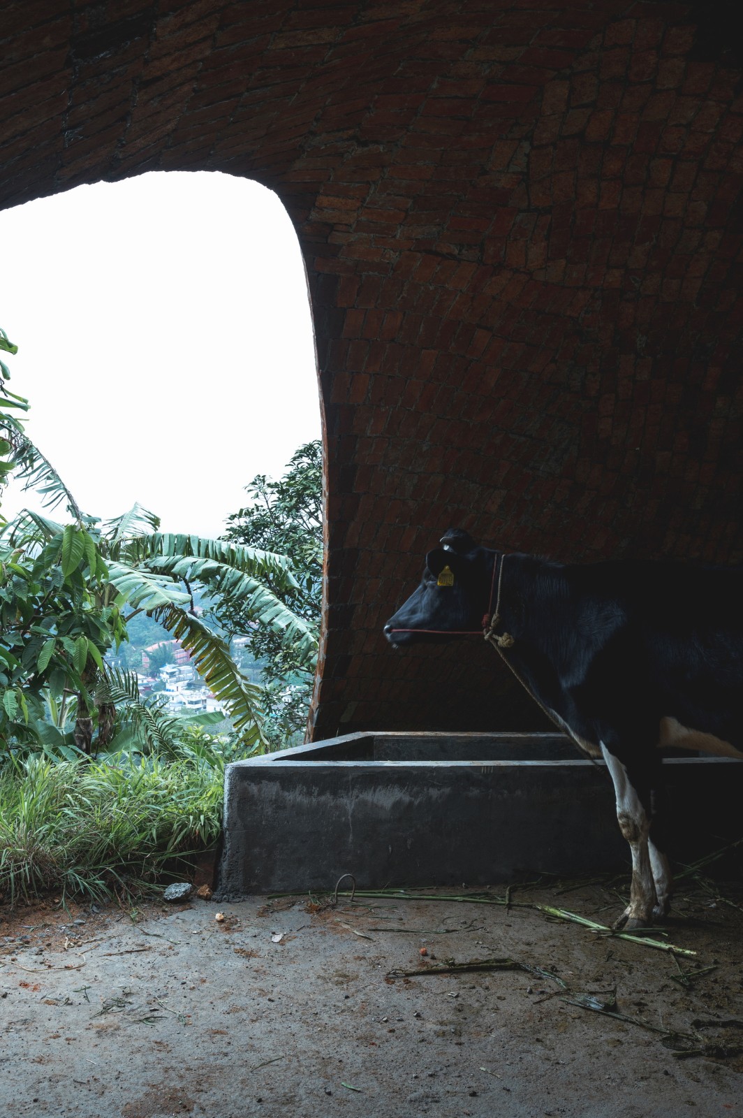 BIM建筑|薄壳拱顶结构牛棚 / Rnd Earth