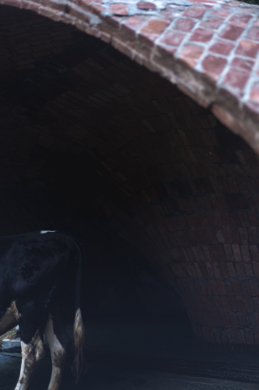 BIM建筑|薄壳拱顶结构牛棚 / Rnd Earth