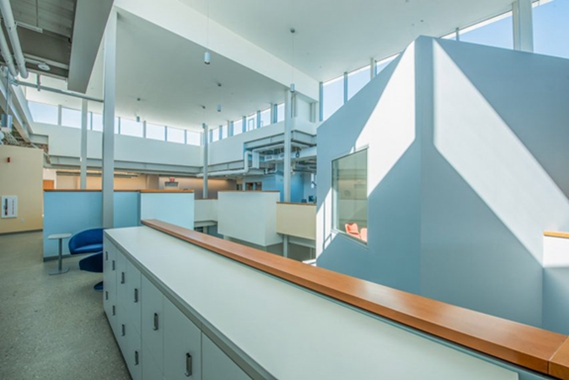 BIM建筑|弗兰克·盖里设计儿童研究所