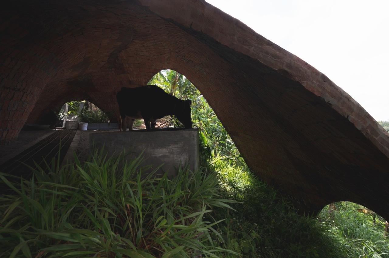 BIM建筑|薄壳拱顶结构牛棚 / Rnd Earth