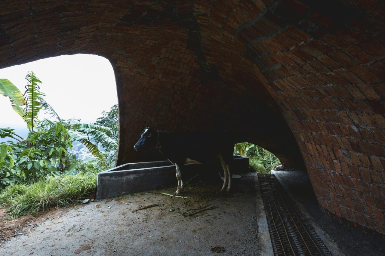 BIM建筑|薄壳拱顶结构牛棚 / Rnd Earth