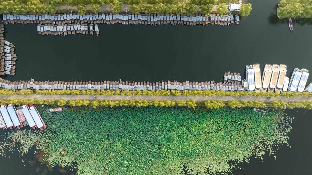 BIM建筑|雄安白洋淀水岸公园 / TLS景观设计事务所