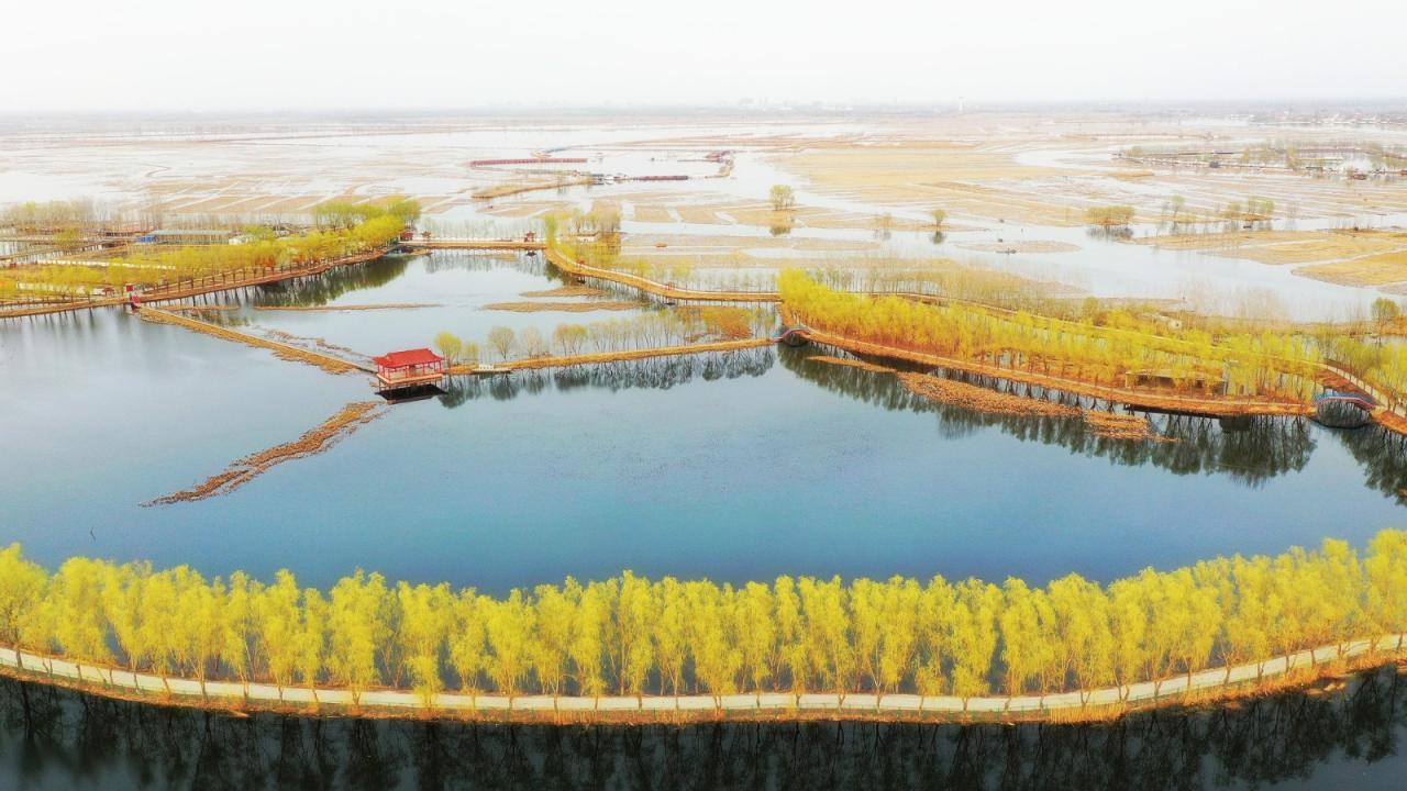 BIM建筑|雄安白洋淀水岸公园 / TLS景观设计事务所