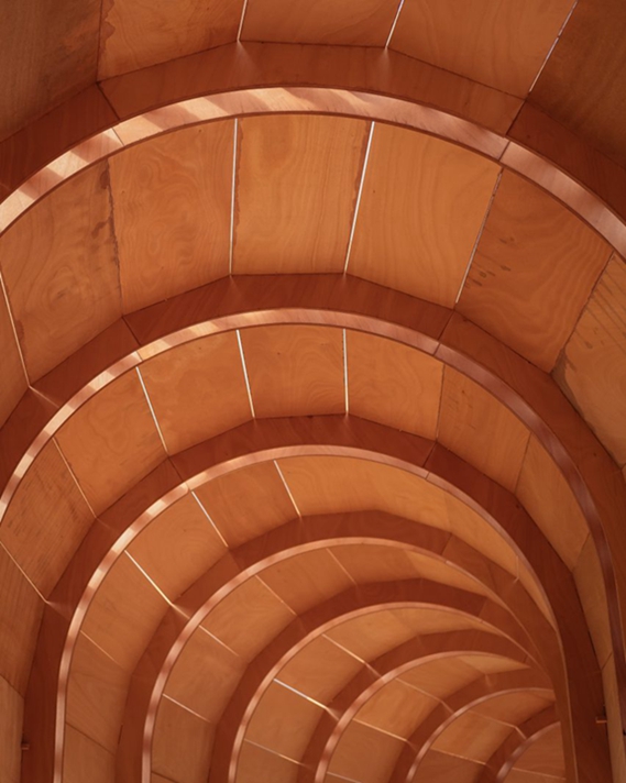 BIM建筑|叙利亚建筑师设计新月形柱廊