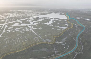 BIM建筑|雄安白洋淀水岸公园 / TLS景观设计事务所-BIM建筑网