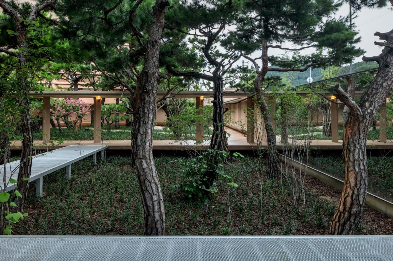 BIM建筑|MRNW 大邱文化中心 / Society of Architecture + Yerin Kang