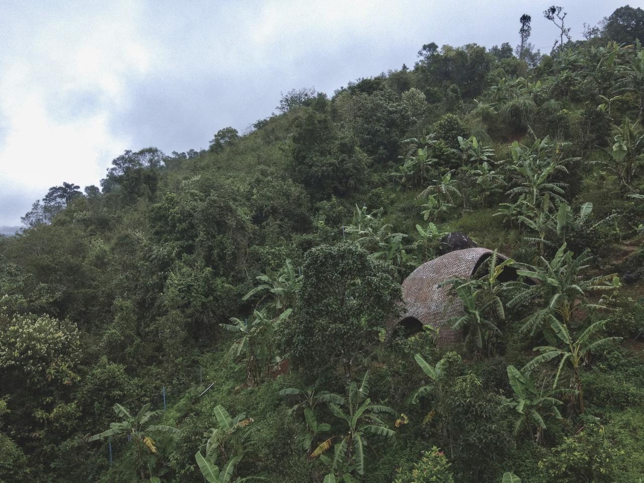 BIM建筑|薄壳拱顶结构牛棚 / Rnd Earth