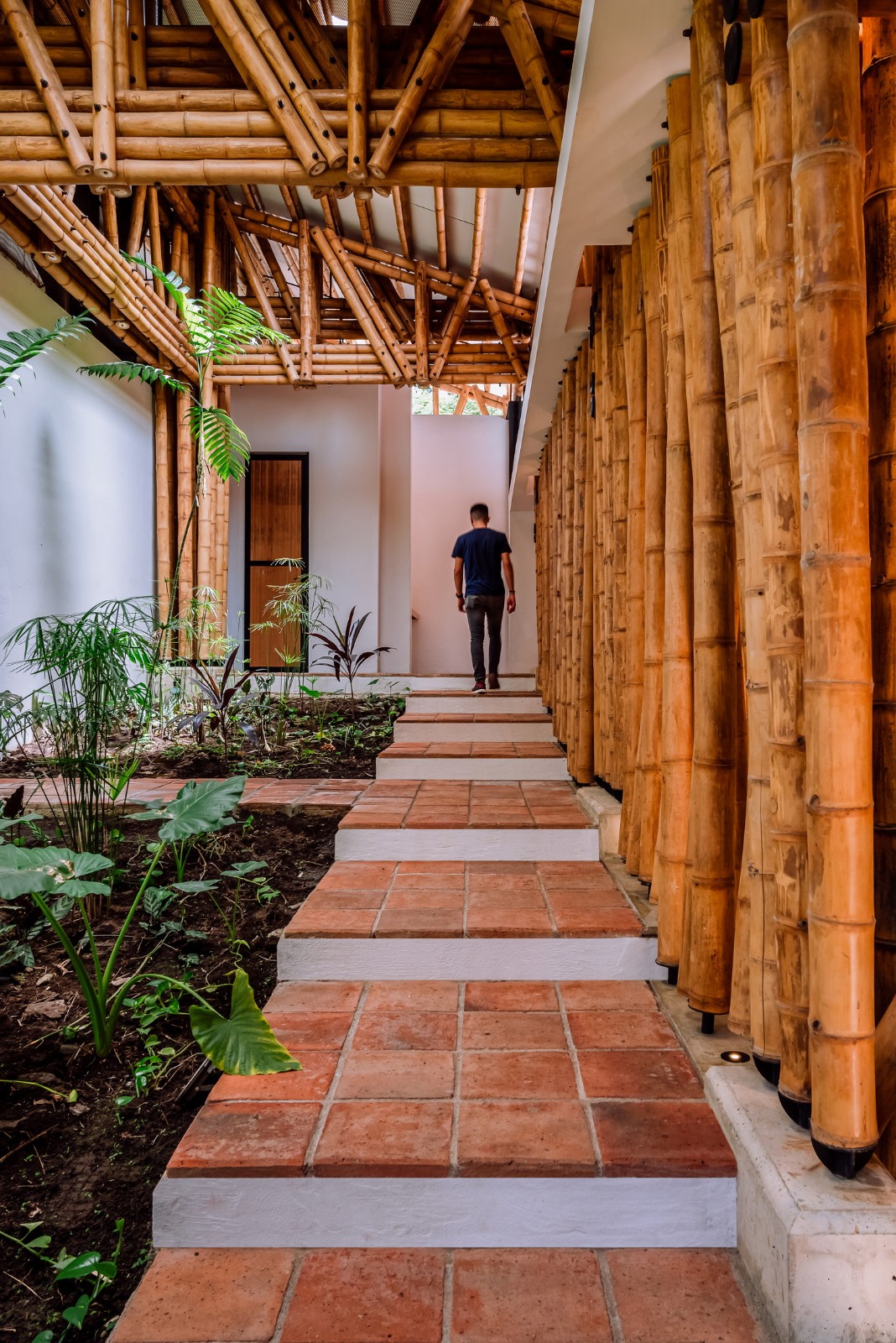 BIM建筑|竹林‘环绕’，Milguaduas 住宅 / ritmo arquitectos