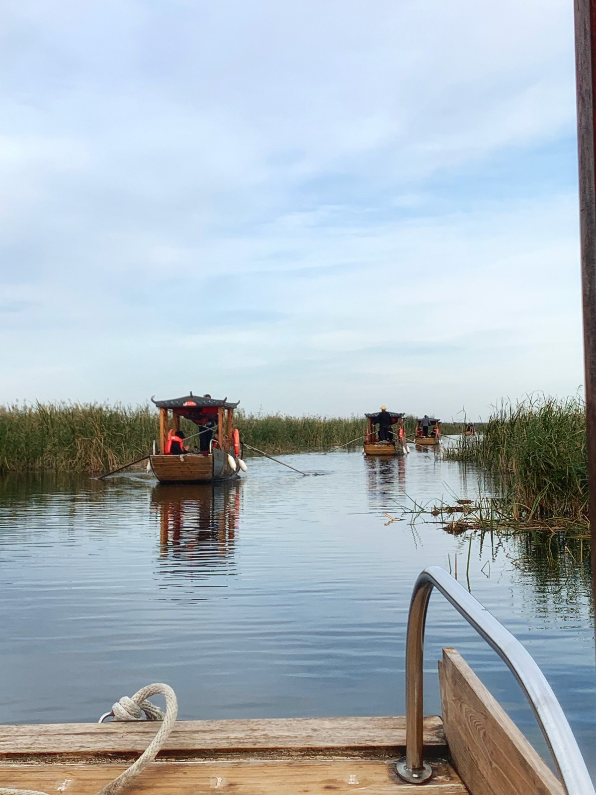 BIM建筑|雄安白洋淀水岸公园 / TLS景观设计事务所