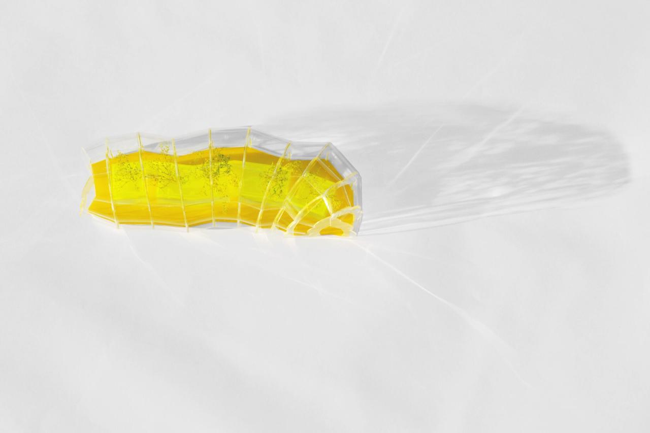 BIM建筑|设计街区食堂 / Selgascano