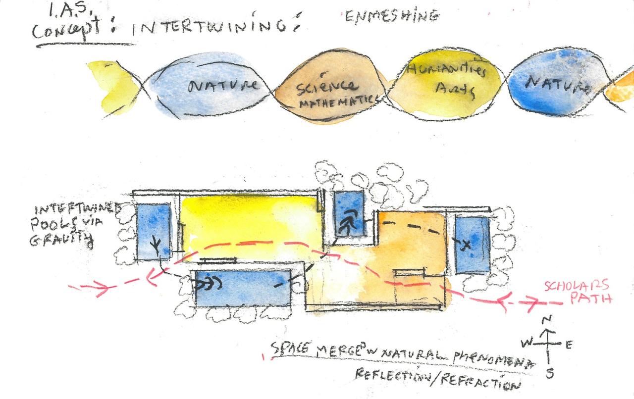 BIM建筑|普林斯顿高等研究院鲁宾斯坦公共活动室 / 斯蒂文·霍尔建筑事务所