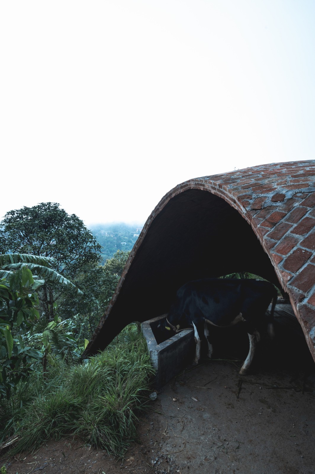 BIM建筑|薄壳拱顶结构牛棚 / Rnd Earth