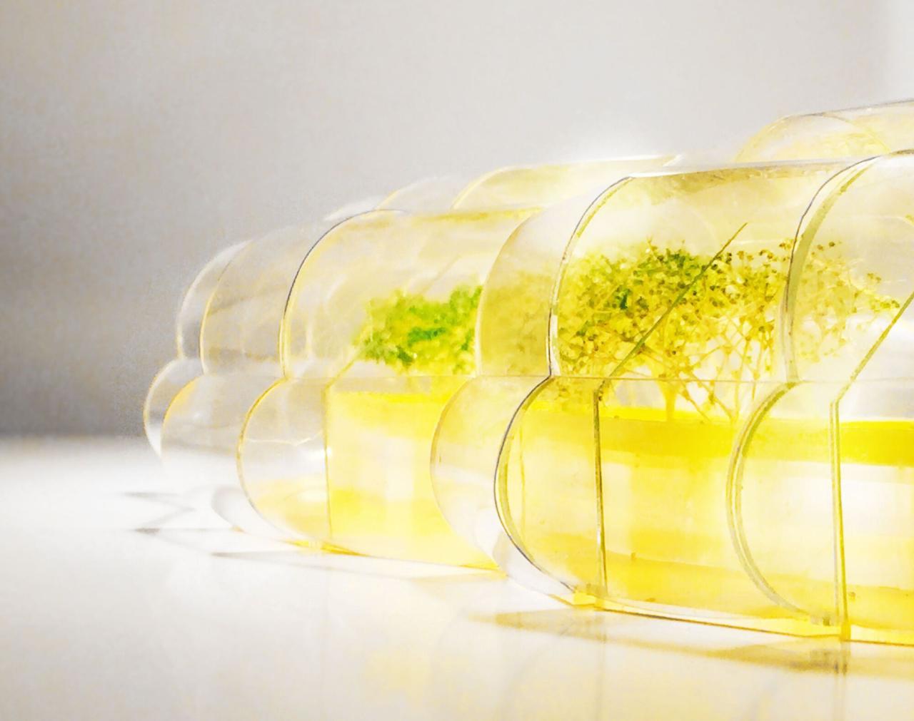 BIM建筑|设计街区食堂 / Selgascano