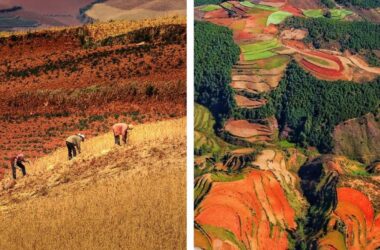 BIM建筑|红色石阵，云南东风韵艺术中心 / 孟凡浩-BIM建筑网