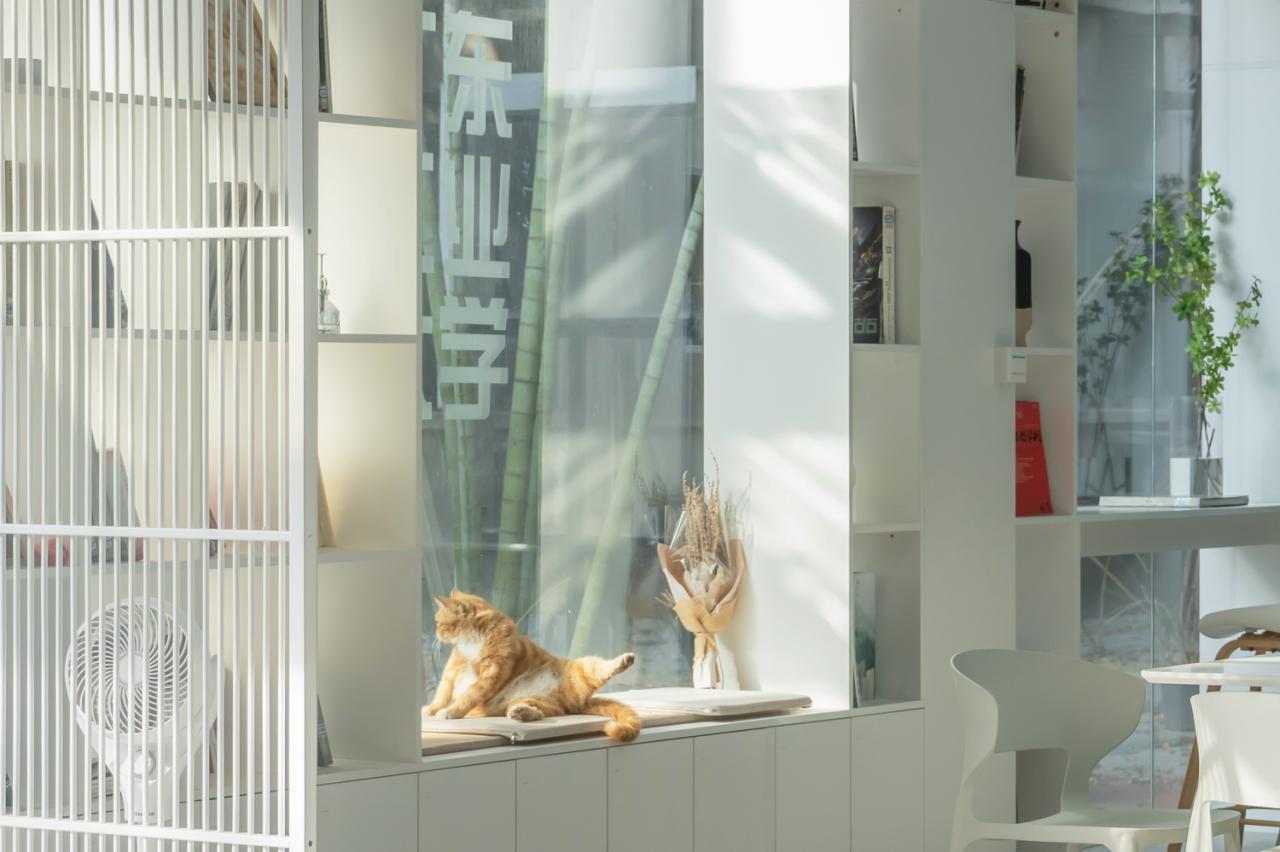 BIM建筑|情境共生：广东工业大学公共学习空间建设/广东工业大学校园更新小队