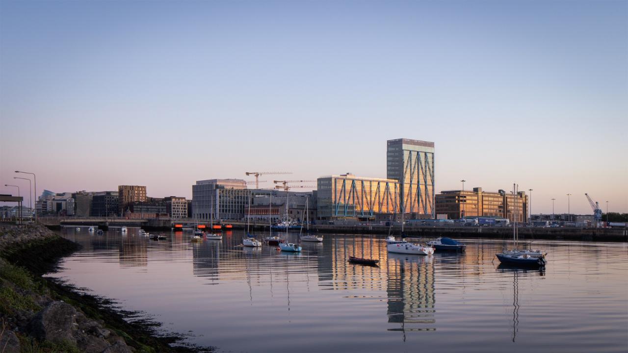 BIM建筑|蓝色‘骨头’，EXO 办公大楼 / Shay Cleary Architects