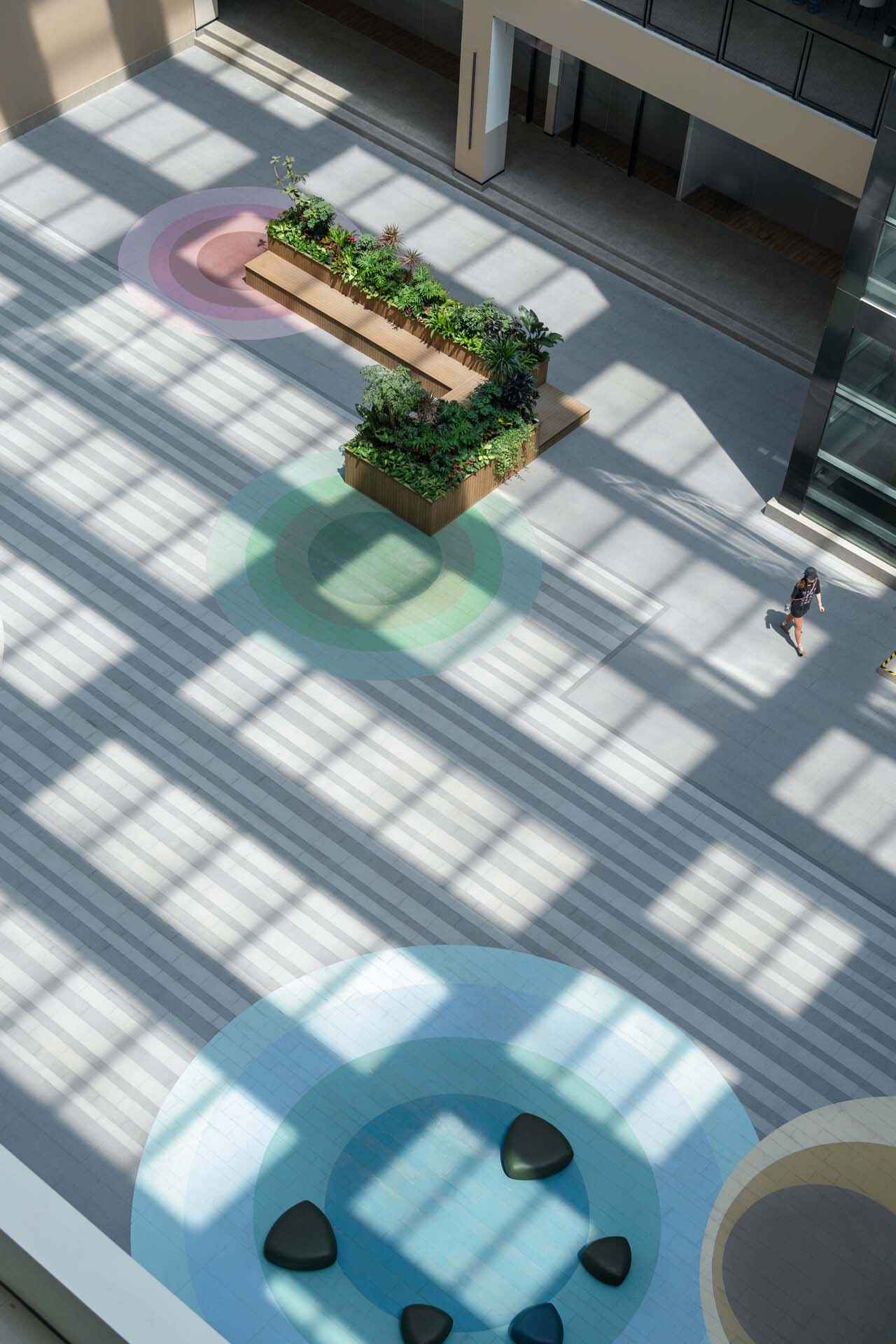 BIM建筑|南京南师大紫金校区整体改造项目 / 杜兹设计