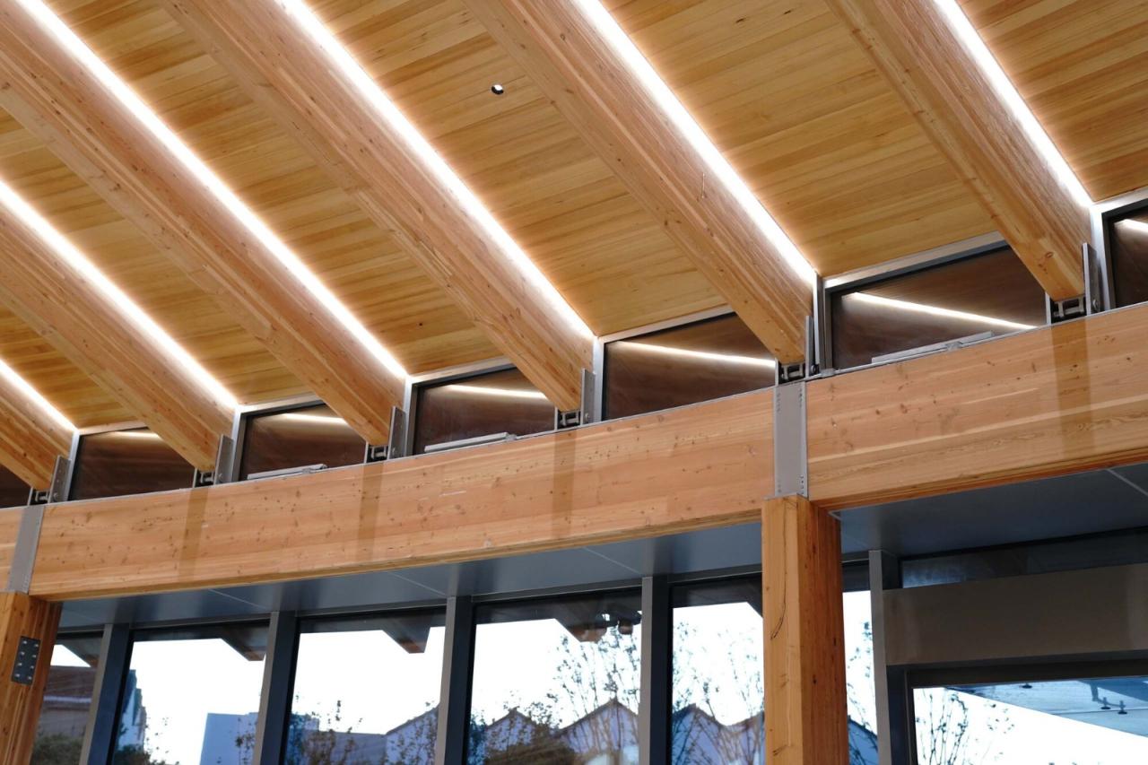 BIM建筑|长三角生态绿色一体化发展示范区（嘉善）企业交流服务基地 / 上海绿建建筑设计事务所