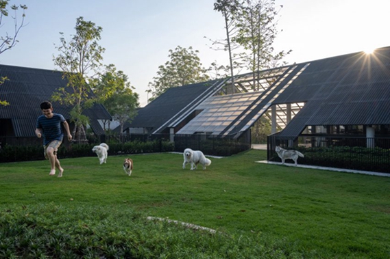 BIM建筑|EKAR将住房与酒店和狗的活动场所结合在一起