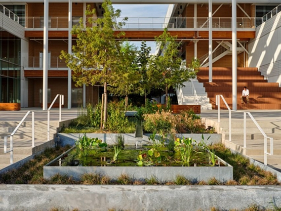 BIM建筑|晋斯勒使用太阳能电池板顶棚遮蔽德克萨斯州办公室