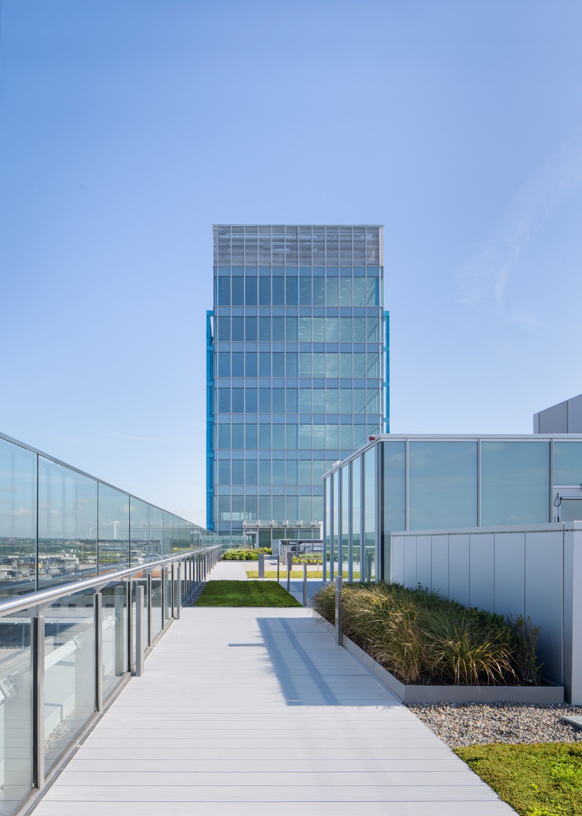 BIM建筑|蓝色‘骨头’，EXO 办公大楼 / Shay Cleary Architects