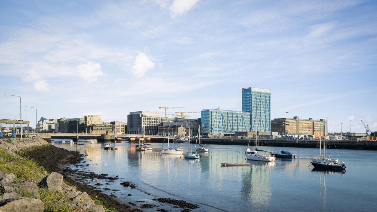 BIM建筑|蓝色‘骨头’，EXO 办公大楼 / Shay Cleary Architects