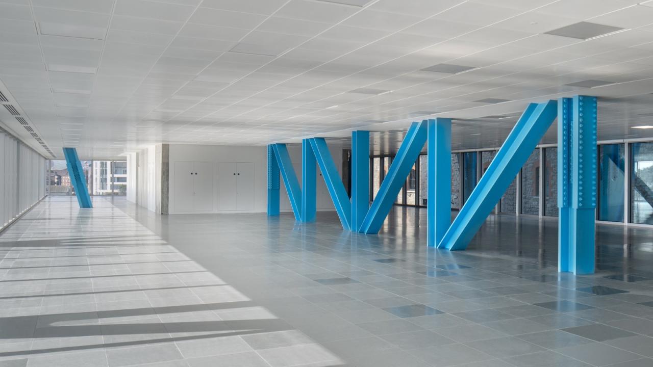 BIM建筑|蓝色‘骨头’，EXO 办公大楼 / Shay Cleary Architects